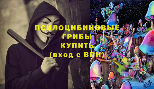 дмт Туринск