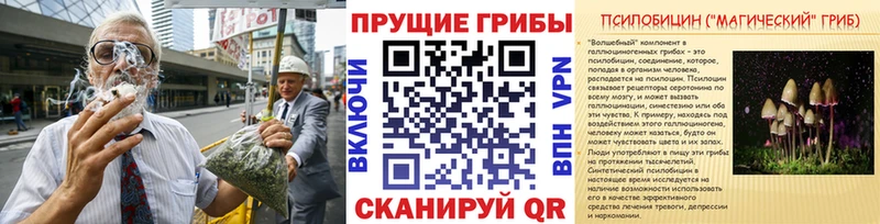 Купить где  Тавда  Псилоцибиновые грибы ЛСД 